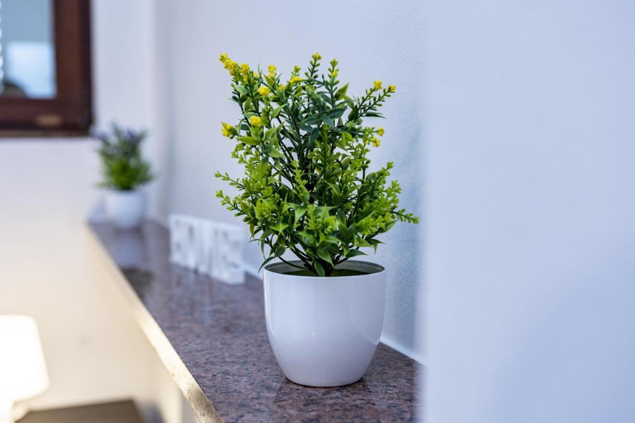 מילאנו Santa Marta Apartments מראה חיצוני תמונה